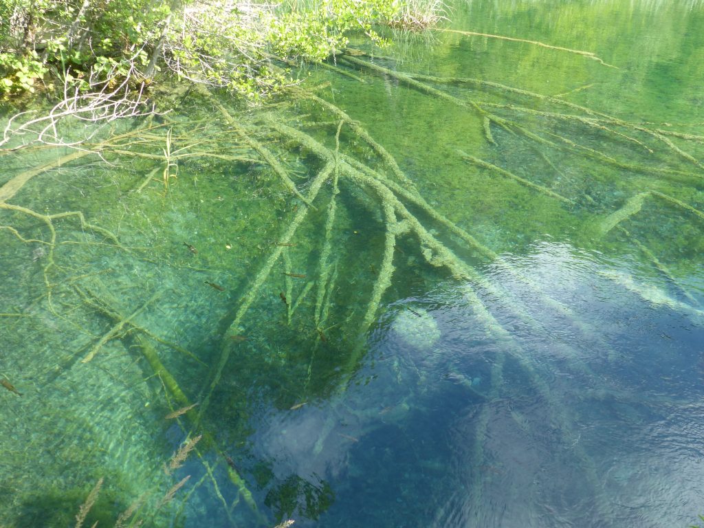 Lacs de Plitvice