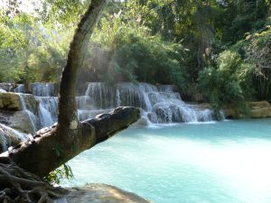 L'eau des chutes de Kuang Si au Laos est laiteuse, bleue turquoise, et superbe