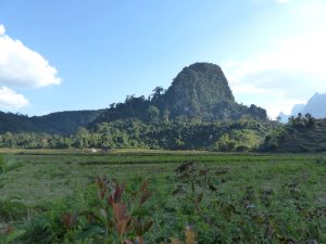 Magnifique vue sur les rizières et une montagne sur le trek de Muang Ngoi au Laos