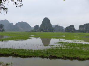 Les paysages karstiques de Ninh Binh sont à couper le souffle